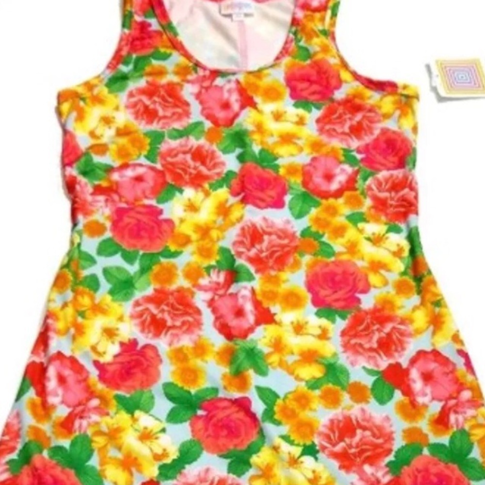 DANI DRESS XS NWT LULAROE